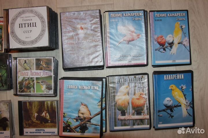 Диски голоса птиц