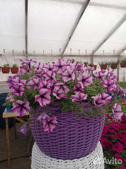 Кашпо из ротанга