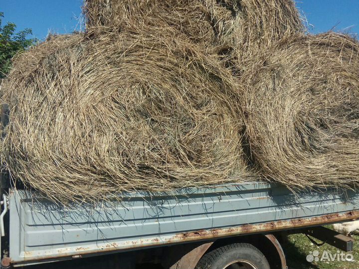 Солома сено в катушках навоз