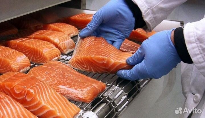 Рабочие на рыбное производство