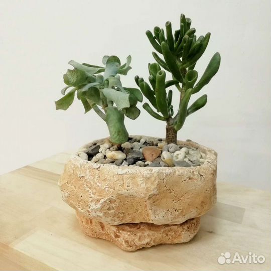 Горшок бетонный для суккулентов и кактусов