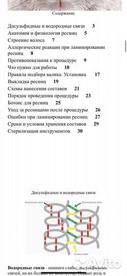 Электронное пособие по ламинированию ресниц