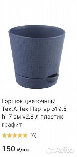 Фикус бенджамина белый