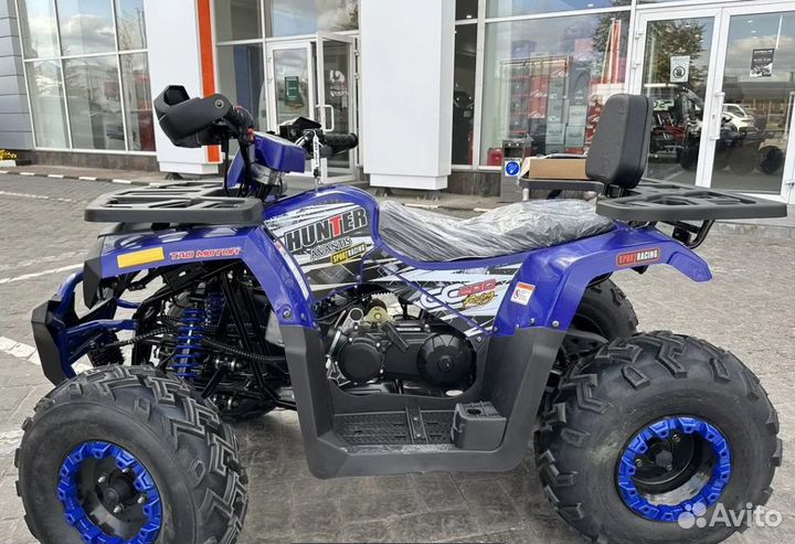 Avantis Hunter new lux