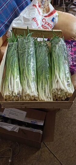 Участок 10 сот. (СНТ, ДНП)