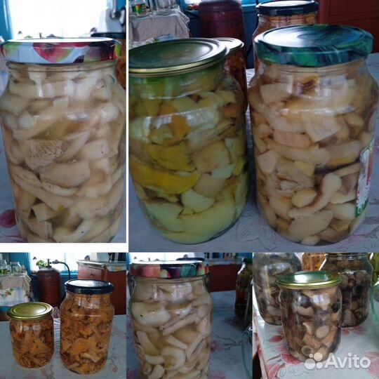 Грузди маринованные, подберезовик