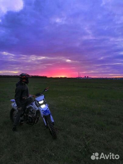Zuumav fxr250
