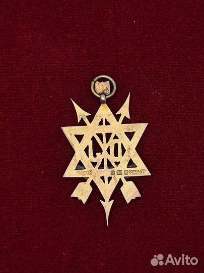 Орден тайного наставника. Стюард