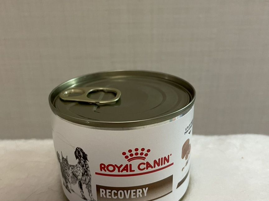 Royal canin recovery консервы