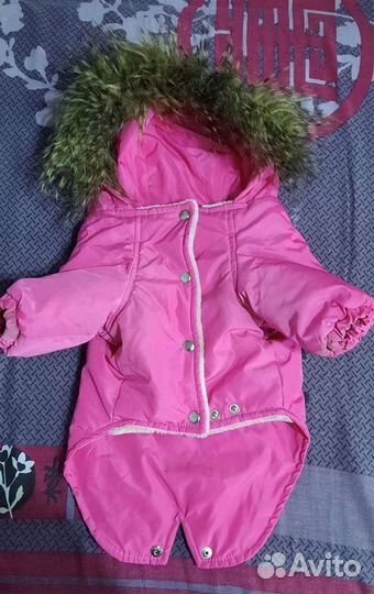 Комбинезон для маленькой собаки девочка