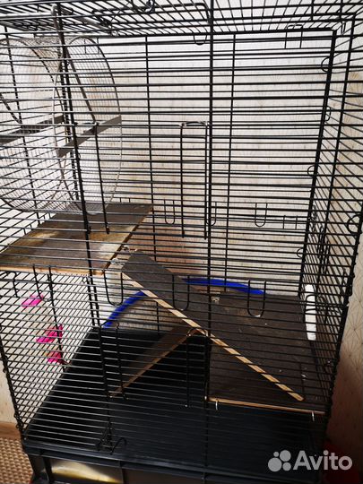 Продам клетку для шиншилл