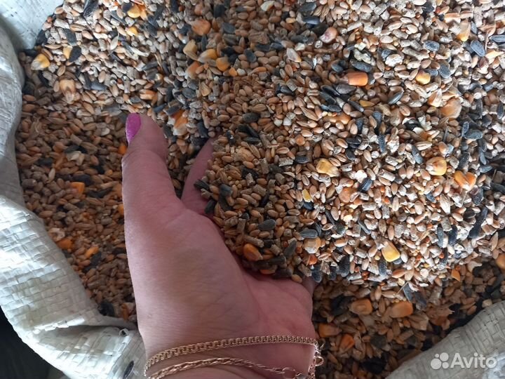 Корма для все животных, старт, раст