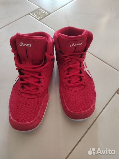 Борьба борцовки