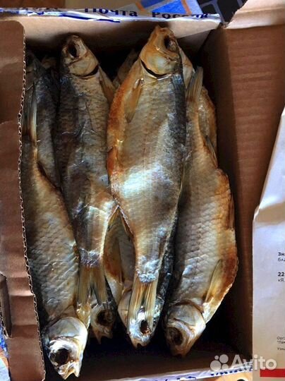 Астраханская вяленая вобла