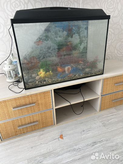 Аквариум с тумбой 100 литров