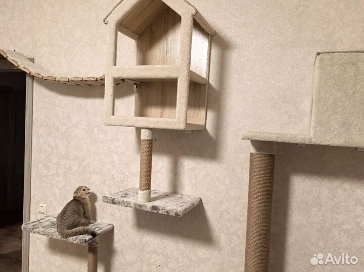 Когтеточка с домиком и лежанкой