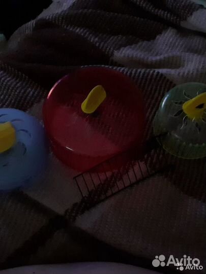 Аксессуары для хомяков кроме клетки