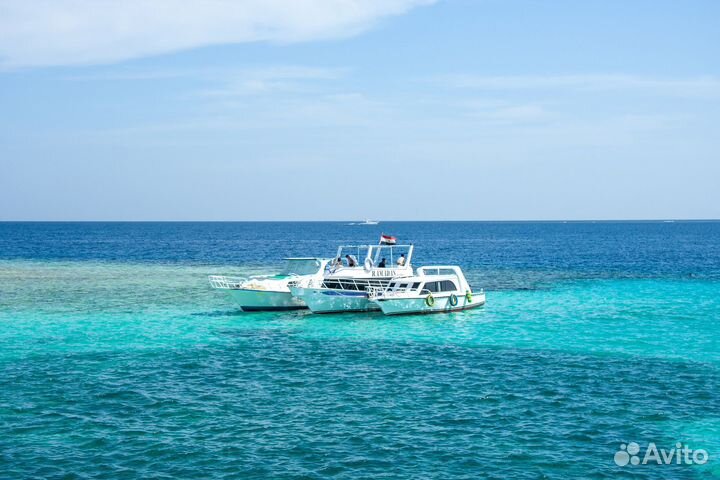 Тур в солнечный Египет (Хургада)