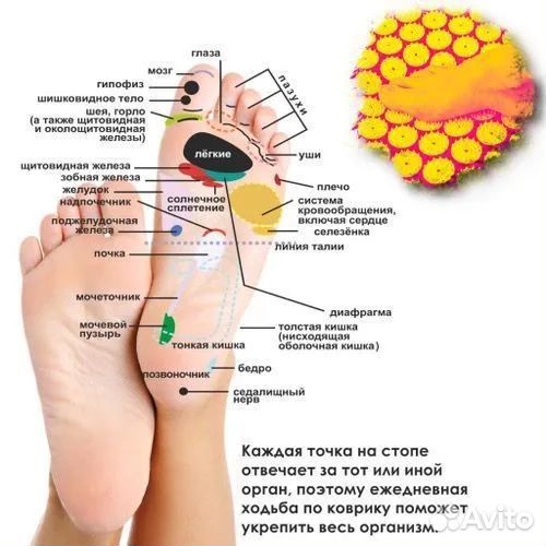 Аппликатор кузнецова коврик массажный
