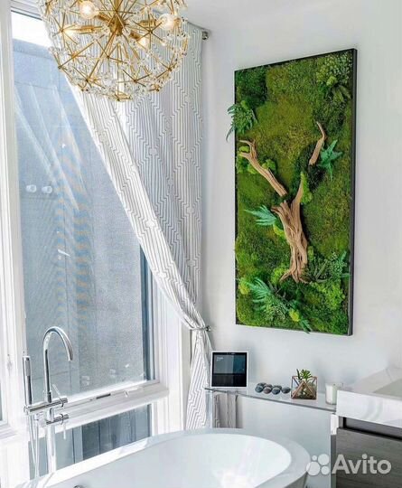 Мох стабилизированный фитокартина фитостена панно