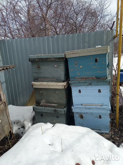 Ульи для пчел бу
