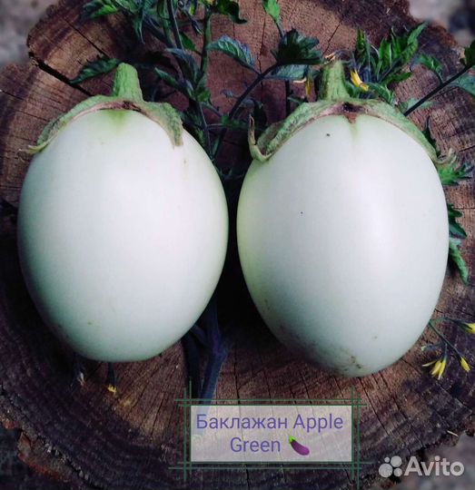 Комплект семян овощей (40 позиций)