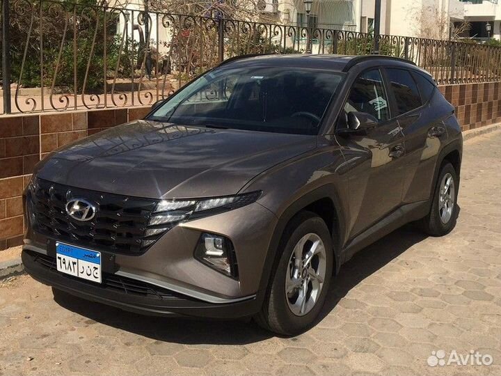 Экскурсия — Шарм-Эль-Шейх — Трансфер Из Аэропорта