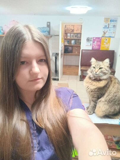 Ветеринарный врач выезд на дом