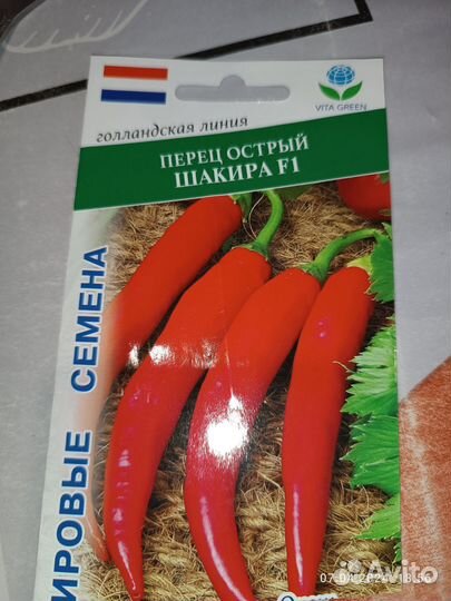 Рассада острого перца