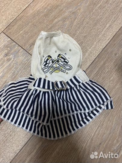 Одежда для маленьких собак