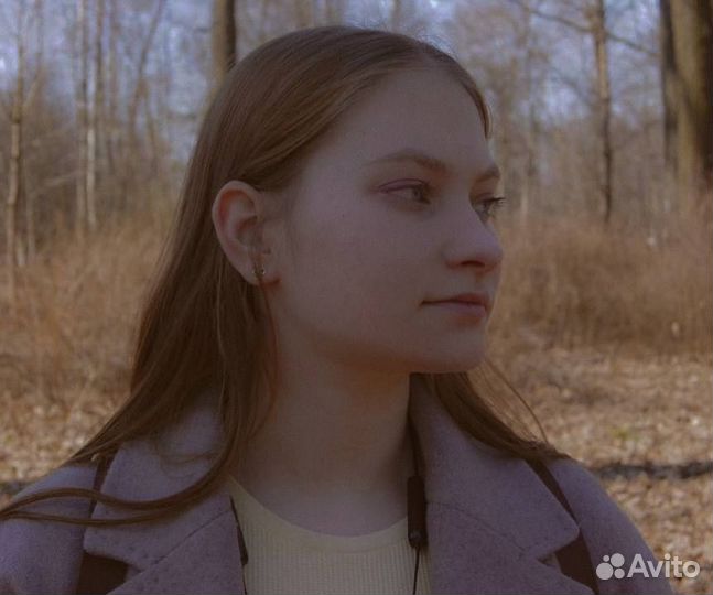 Репетитор по литературе, русскому