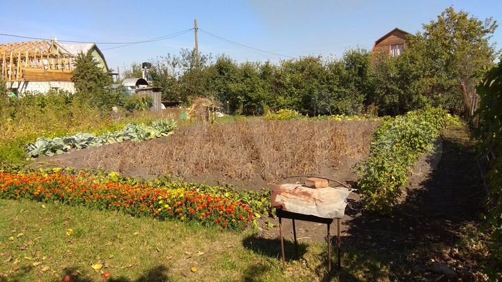 Дача 20 м² на участке 9 сот.