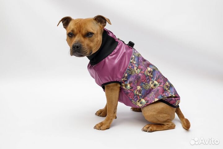Жилетка для собак