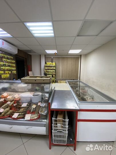 Готовый бизнес рыбный магазин