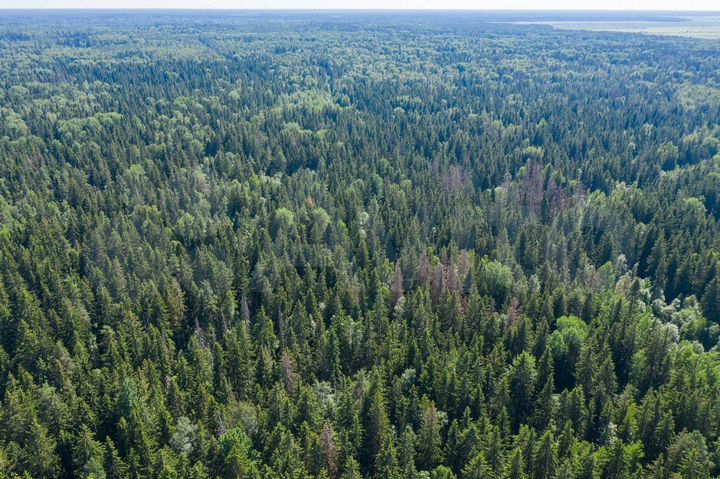 Участок 16,4 сот. (ИЖС)