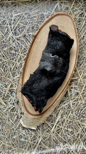 Натуральные лакомства для собак и кошек