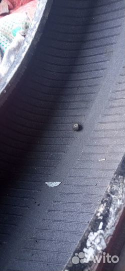 КАМА Кама-Евро-519 205/55 R16