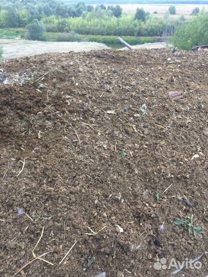 Конский перегной