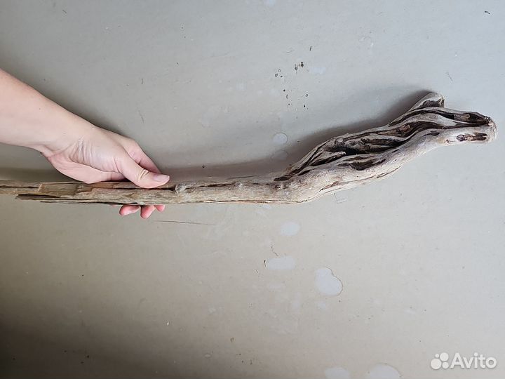 Коряги дрифтвуд (посох)