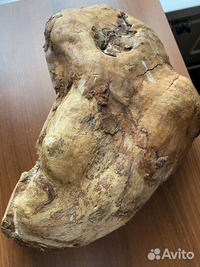 Березовый сувель и кап