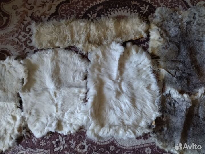 Шкурки кролика