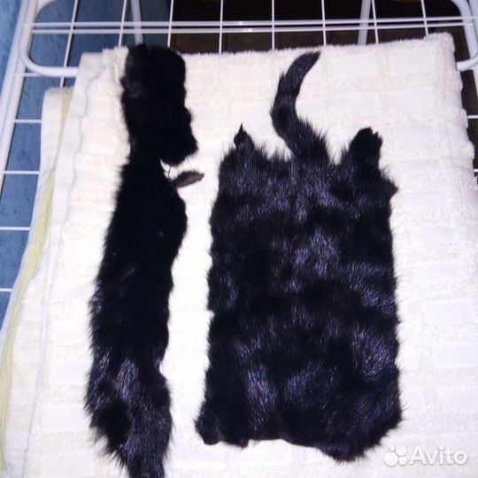 Шкурка норки