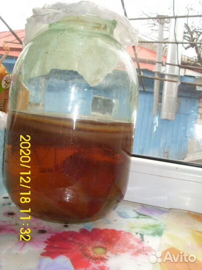 Веточки сливы, кизила, вишни, айвы и др