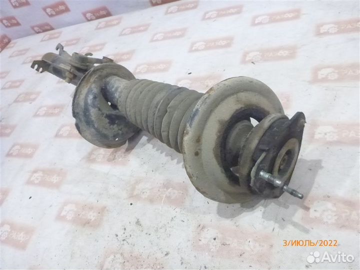 Амортизатор передний правый Ford Focus DBW