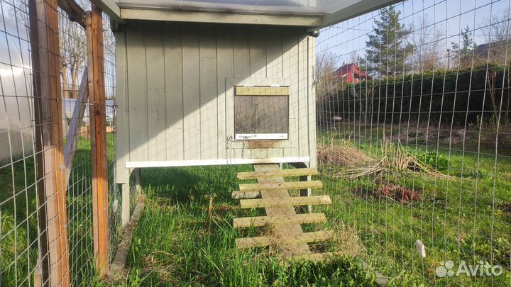 Курятник на 2-4 курочки