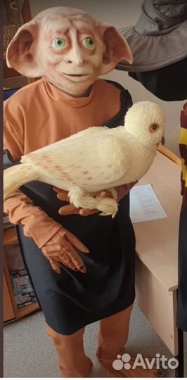 Поздравление аниматора на детский праздник