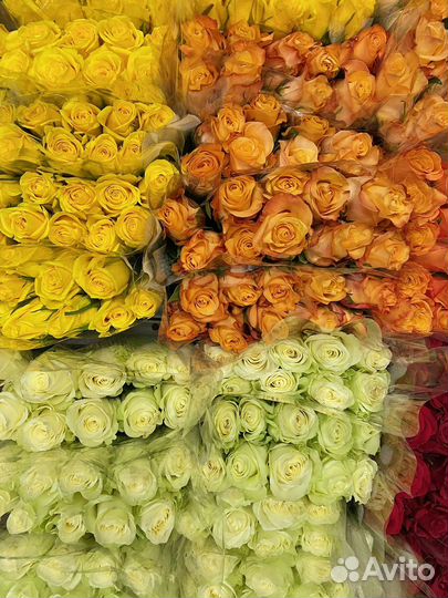 Розы кении, букет роз, 25 роз, 51 роза, 101 роза