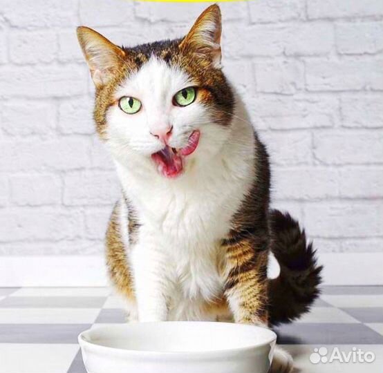 Администратор