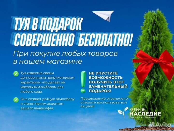 Живая изгородь