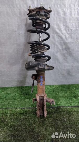 Стойка амортизатора передняя правая Honda CR-V 3